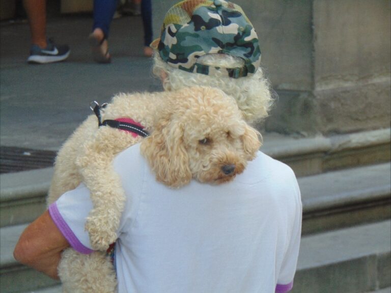 Screenshot_20220922-204629_WhatsApp